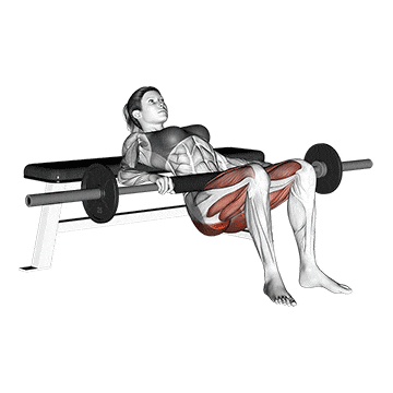 Gluteus